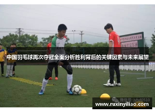 中国羽毛球再次夺冠全面分析胜利背后的关键因素与未来展望