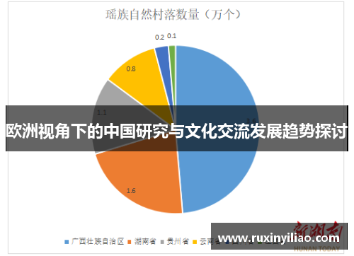 欧洲视角下的中国研究与文化交流发展趋势探讨