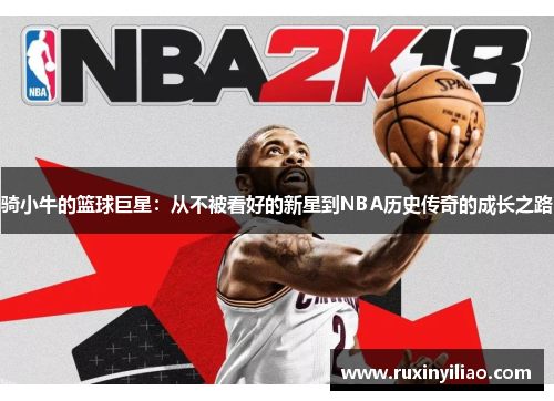 骑小牛的篮球巨星：从不被看好的新星到NBA历史传奇的成长之路