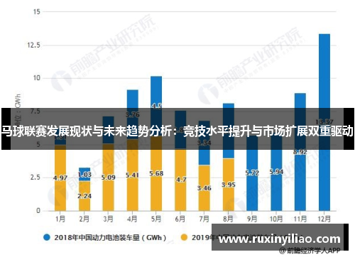 马球联赛发展现状与未来趋势分析：竞技水平提升与市场扩展双重驱动